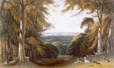 Valle nel Windsor Park vicino a Bishops Gate, da 